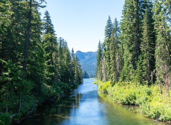 Pacific Northwest: Landscape photograph