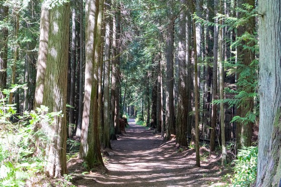 Pacific Northwest: Landscape photograph