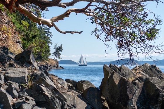 Pacific Northwest: Landscape photograph