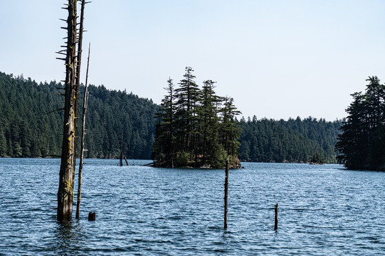 Pacific Northwest: Landscape photograph