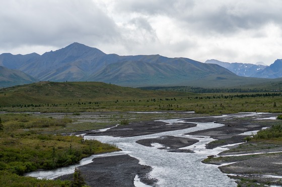 Denali National Park: Landscape photograph
