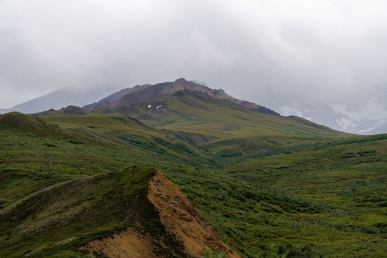 Denali National Park: Landscape photograph