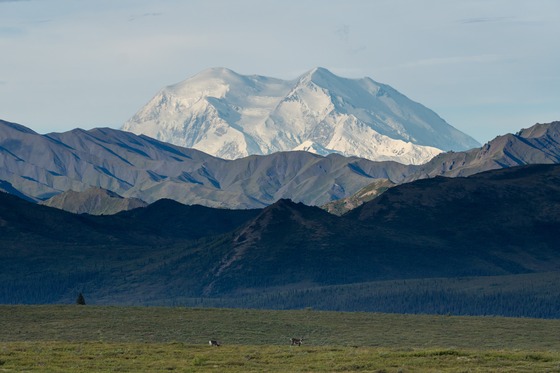 Denali National Park: Landscape photograph