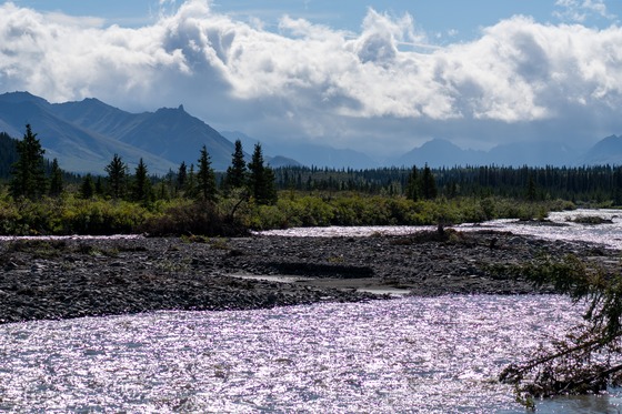 Denali National Park: Landscape photograph