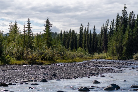 Denali National Park: Landscape photograph