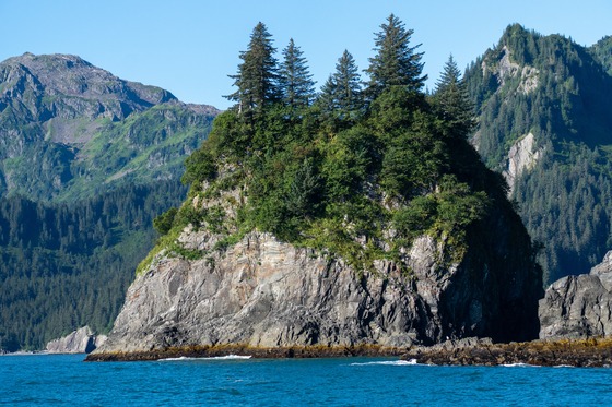 Kenai Fjords & Girdwood: Landscape photograph