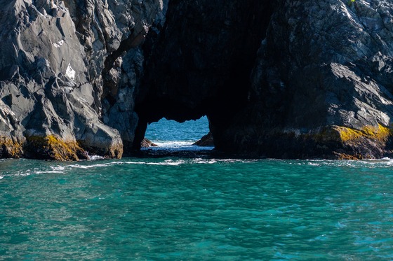 Kenai Fjords & Girdwood: Landscape photograph