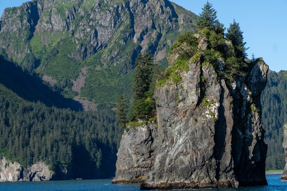 Kenai Fjords & Girdwood: Landscape photograph