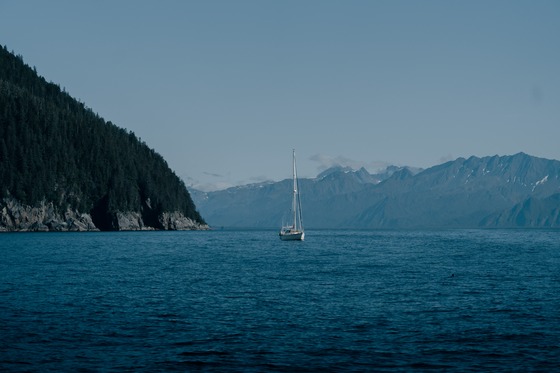 Kenai Fjords & Girdwood: Landscape photograph