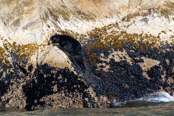 Kenai Fjords & Girdwood: Landscape photograph