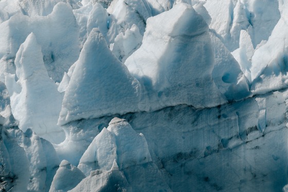 Kenai Fjords & Girdwood: Landscape photograph