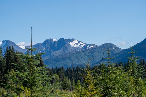 Kenai Fjords & Girdwood: Landscape photograph