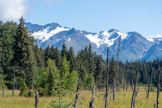 Kenai Fjords & Girdwood: Landscape photograph