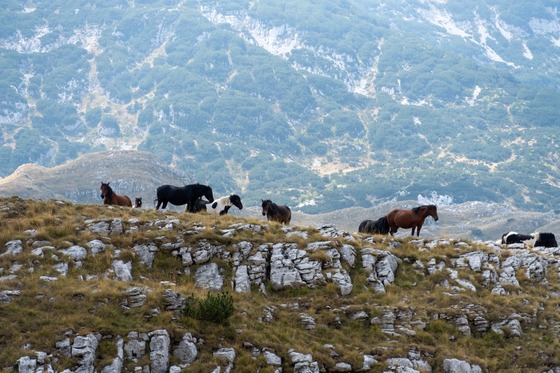 Montenegro: Landscape photograph